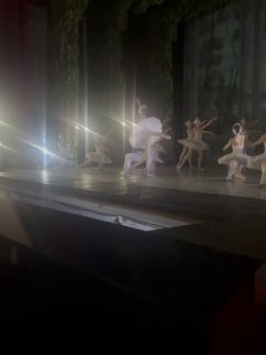 Иллюстрация 1