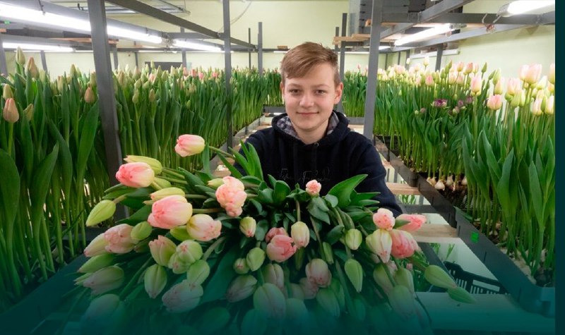 Подросток заработал 2 миллиона рублей на тюльпанах