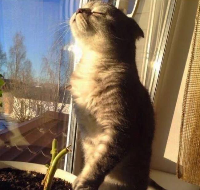 Температурные рекорды обновятся в Москве