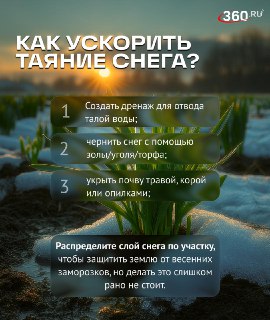 Иллюстрация 2