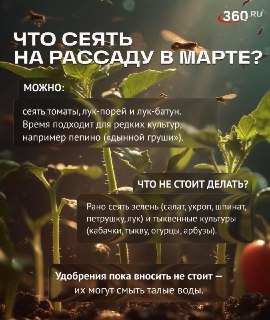 Иллюстрация 3