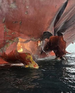 Иллюстрация 2