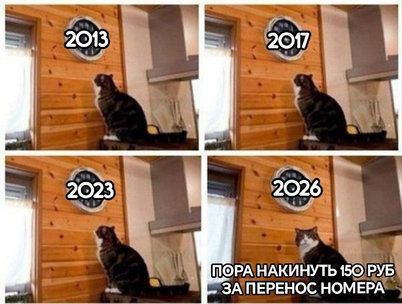 Стоимость переноса номера вырастет до 250 рублей