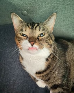 Иллюстрация 3