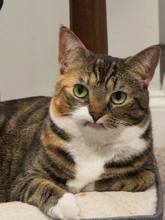 Иллюстрация 5