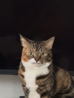 Иллюстрация 7