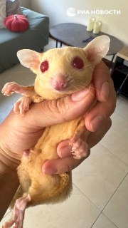 Иллюстрация 3