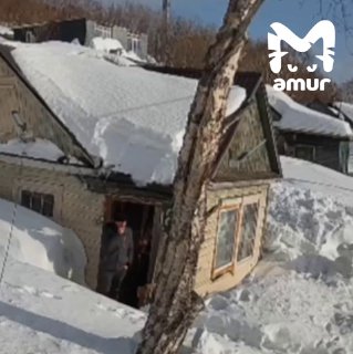 Лавина снега едва не задела жителя Петропавловска-Камчатского