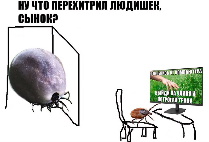 Массовая атака клещей ждёт россиян на следующей неделе