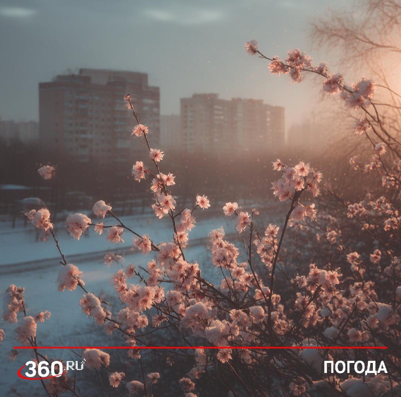 Апрельская погода ожидается в Москве и Подмосковье к выходным