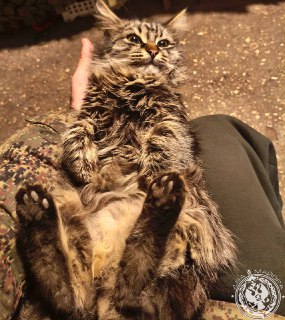 Иллюстрация 3