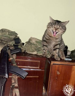 Иллюстрация 9