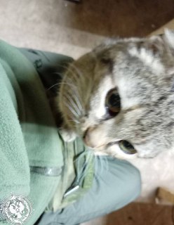 Иллюстрация 10