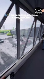 Люди Z: любовь и спокойствие