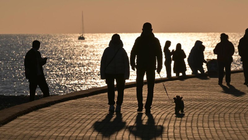 Более 8 млрд рублей украли при строительстве центра гимнастики в Сочи