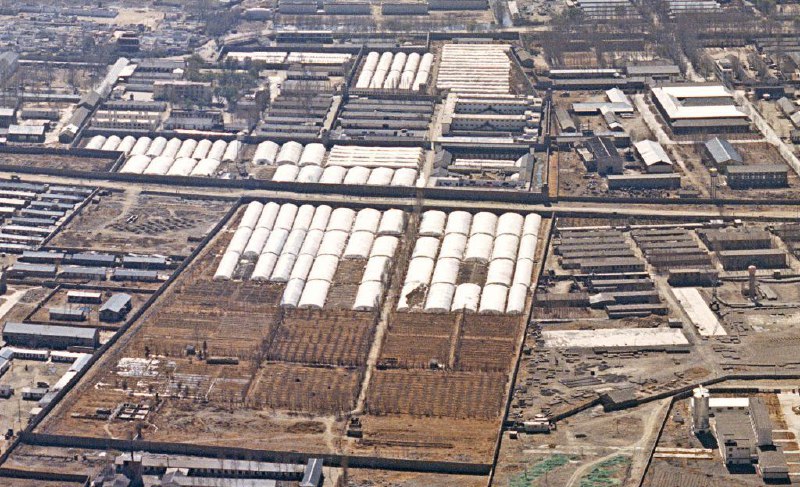 Женское сопротивление в тюрьме Тибета: как кассету монахинь услышал весь мир