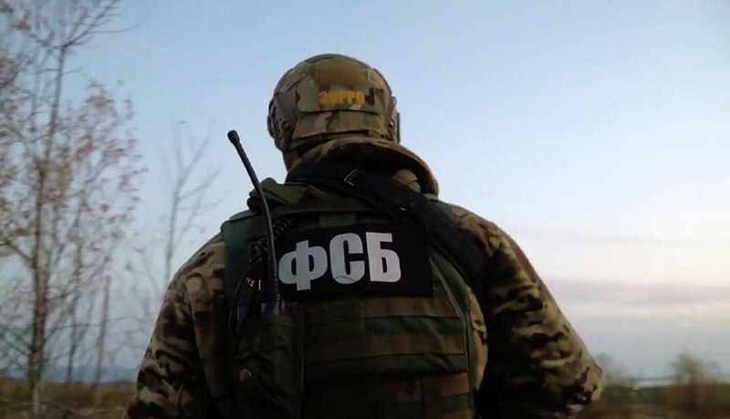 Украинку лишили гражданства РФ за критику СВО и работу в ОПК