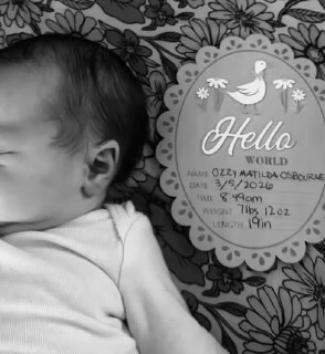 Иллюстрация 2