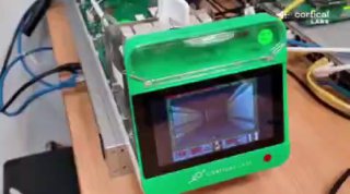 Биокомпьютер из живых нейронов научился играть в Doom