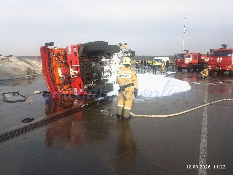 Иллюстрация 2