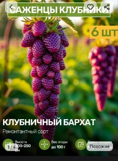 Иллюстрация 4