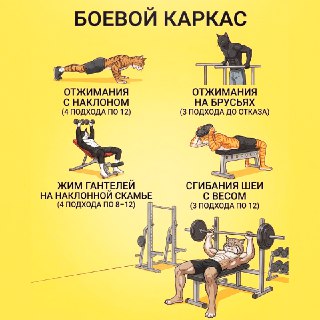 Иллюстрация 3