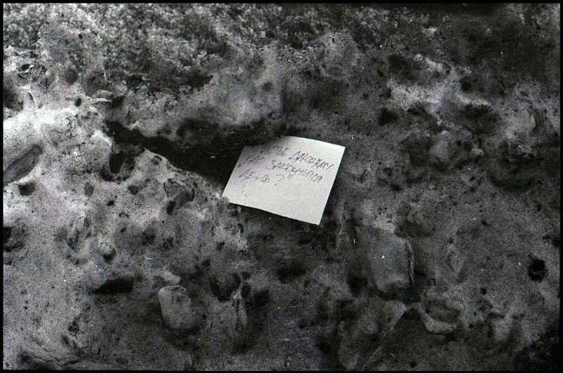 Иллюстрация 5