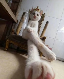 Иллюстрация 3