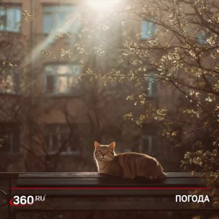 Теплая погода сохранится в Москве до конца марта