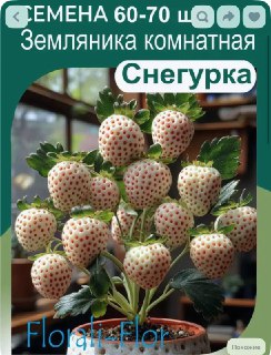 Иллюстрация 4