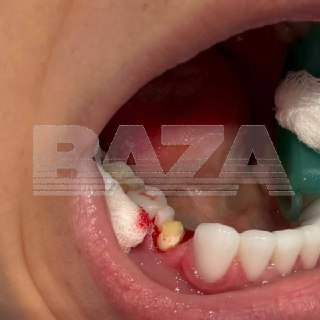 Иллюстрация 5