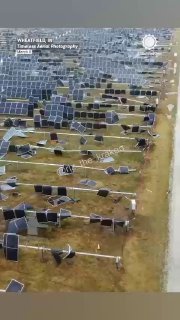 Иллюстрация 2