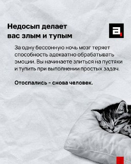 Иллюстрация 4