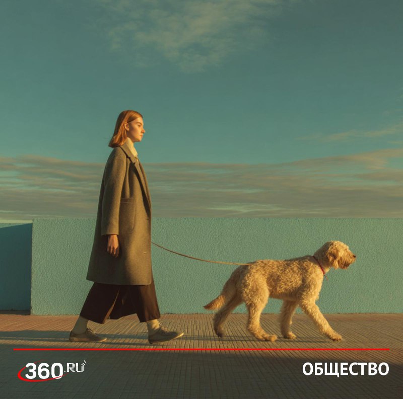 В России утвердили ГОСТ на собачьи площадки