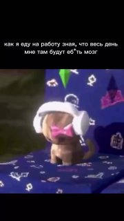 Звук с именем экономиста Варуфакиса стал вирусным в TikTok