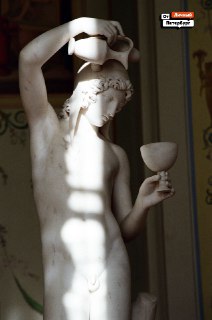 Иллюстрация 5