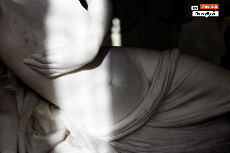 Иллюстрация 7