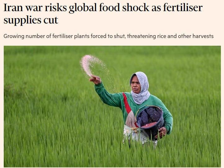 FT: конфликт в Иране может спровоцировать глобальный продовольственный кризис
