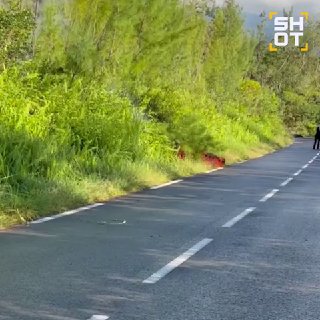 Иллюстрация 3