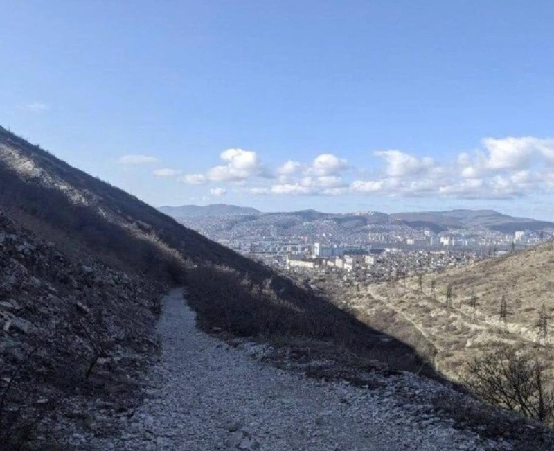 Иллюстрация 2