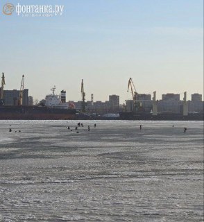 Пятерых рыбаков спасли в Петербурге, десятерых – в Ленобласти