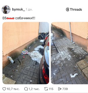 Пользователь назвал виновников замусоривания «собачниками» и получил реакцию в комментариях