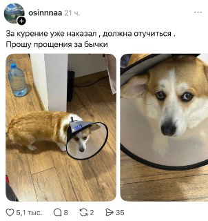 Иллюстрация 2