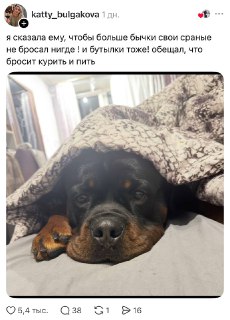 Иллюстрация 4