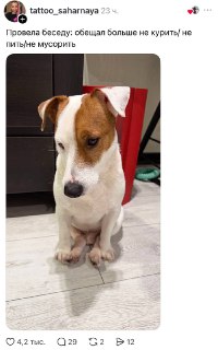 Иллюстрация 5