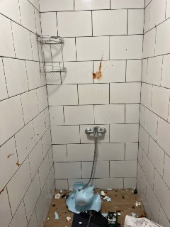 Иллюстрация 5