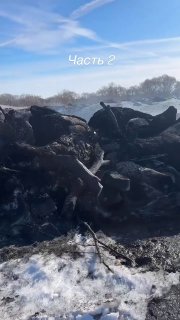 Иллюстрация 1