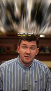 Иллюстрация 6