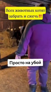 Иллюстрация 8