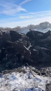 Иллюстрация 1